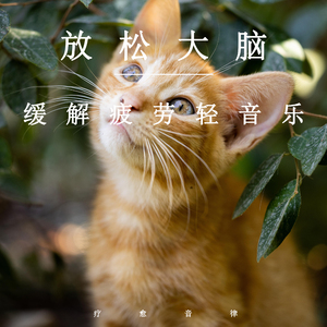 最刺激的黄色网
